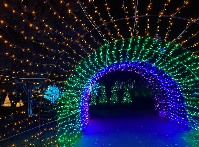 An open area with an ark formation full of Christmas Lights with the color of Yellow, Green and Blue