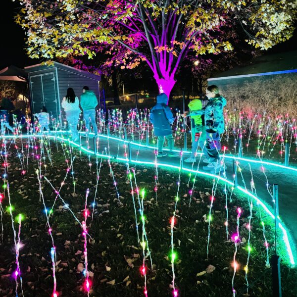 kids walking on a path with lights all around