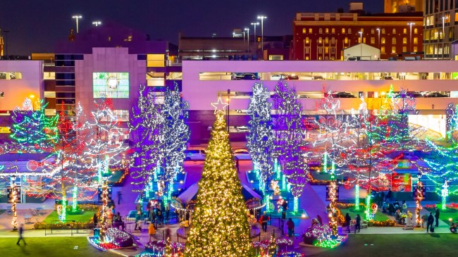 holiday lights on trees in parks